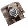 1 oz silver SAM BIG FIVE 2 ELEPHANT 2021 Rand 5 BU