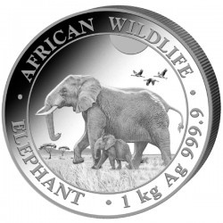 1 kilo SOMALIA ELEPHANT 2022 SHILLINGS 2 000