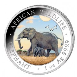1 oz silver SOMALIA ELEPHANT 2022 Shillings 100 Coloured