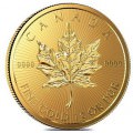 MAPLEGRAM25 Gold CANADA 2016