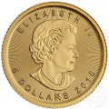 GOLD 1/10 oz GOLD MAPLE LEAF