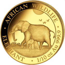 GOLD 1/10 oz ELEPHANT 2022 SOMALIA 100 SHILLINGS
