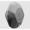 Pure Silver Diamond-Shaped Coin – Forevermark Black Label Oval Diamond