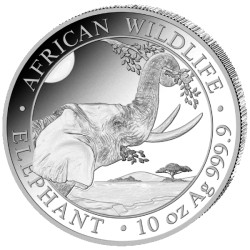 10 oz silver ELEPHANT 2022 Somalia Shillings 1000