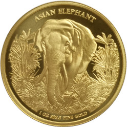 CAMBODIA 30 000 RIELS 1 oz GOLD ELEPHANT 2023 BU 30 000 Riels Asia Big Five Series