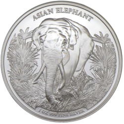CAMBODIA 3000 RIELS 1 oz silver ELEPHANT 2023 bu 3 000 Riels Asia Big Five Series