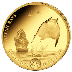 Wildlife 1 oz GOLD The BEAR 2022 Congo 100 Fr