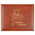 1 oz silver SOMALIA LEOPARD 2022 - 100 shillings
