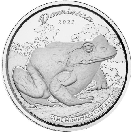 1 oz silver 2022 ST VINCENT & GRENADINES Eastern Caribbean EC8 WAR SHIP