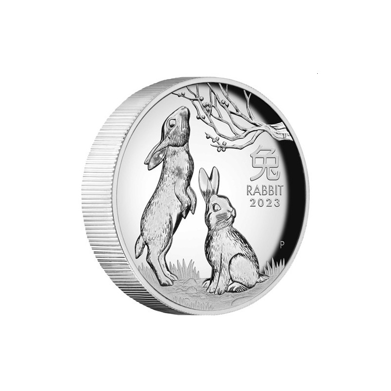 Australian Lunar Series Iii 2023 Year Of The Rabbit 1oz Silver Proof High Relief Coin 2369