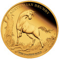 +++ Perth Mint Australian Brumby 2022 1oz Gold Proof Coin +++