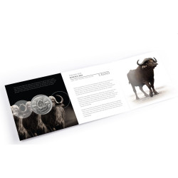 1 oz silver BIG FIVE 2023 BUFFALO bu Rand 5 in card