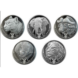 South Africa 1 oz gold BIG FIVE 2019 ELEPHANT PROOF Box + Coa 50 Rand