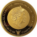 VIKING AGE 1 oz gold ENDURANCE 2023 cfa 3000 CAMEROON 1/10