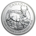 1 oz silver Maple Leaf 2013 ANTELOPE