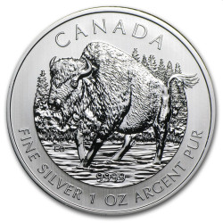 1 oz silver Maple leaf 2013 BISON