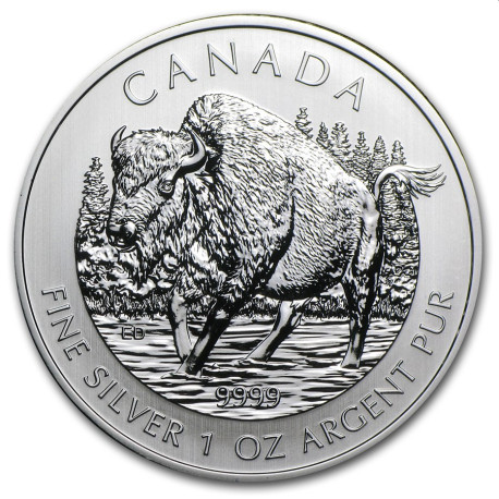 1 oz silver Maple leaf 2013 BISON