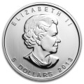 1 oz silver Maple leaf 2013 BISON