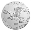 1 oz SILVER BALD EAGLE 2014