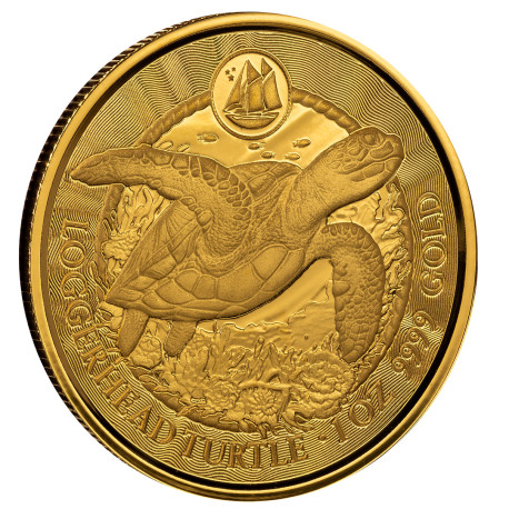 1 oz GOLD Cayman Islands LOGGERHEAD TURTLE 2023 bu $5