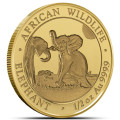 GOLD 1/2 oz ELEPHANT 2023 SOMALIA Shillings 500 BU