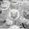 RANDOM 1 oz 0.999 silver coins BU - Our choice