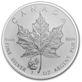 1 oz silver MAPLE LEAF 2016 PANDA privy