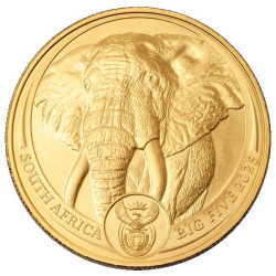 South Africa 1 oz gold BIG FIVE 2025 ELEPHANT BU 50 RAND