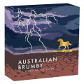 +++ Perth Mint Australian Brumby 2024 1oz Gold Proof Coin $100 +++
