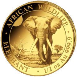 GOLD 1/2 oz ELEPHANT 2024 SOMALIA Shillings 500 BU