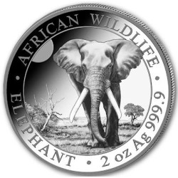 2 oz silver ELEPHANT 2024 Somalia 200 Shillings