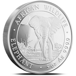 5 oz silver ELEPHANT 2024 Somalia 500 Shillings
