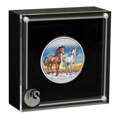 1 oz silver Australian BRUMBY HORSE 2024 $1 bu THUNDER COLOURED 