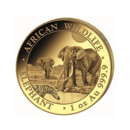 GOLD 1 oz ELEPHANT 2025 SOMALIA 1 000 shillings