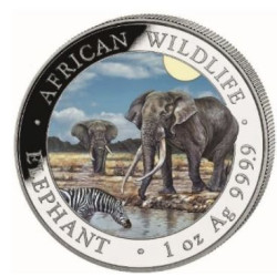 1 oz silver SOMALIA ELEPHANT 2026 COLOURED Shillings 100