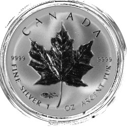 1 oz silver MAPLE LEAF 2014 $5 PRIVY BU in capsule