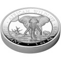 1 oz silver SOMALIA ELEPHANT 2025 Shillings 100
