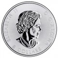  *** Best value *** Guinea 1.25 oz silver STANDING LION 2022 £1.25 bu