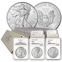 USA 1 oz silver U.S. Silver EAGLE COLLECTION 1986 - 2025 ngc ms-69 GRADED $1 bu 41 coins