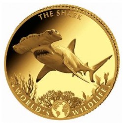 Wildlife 0.5 gr GOLD The SHARK 2026 Congo 10 Fr