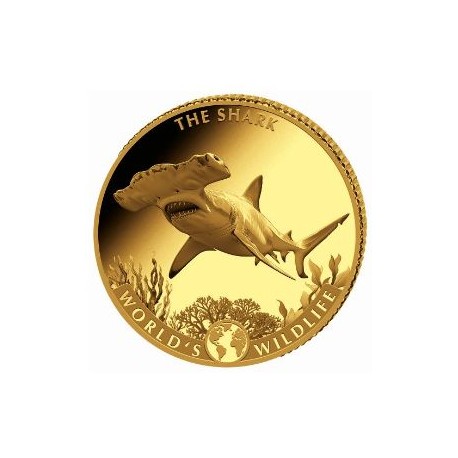 Wildlife 0.5 gr GOLD The LION 2025 Congo 10 Fr