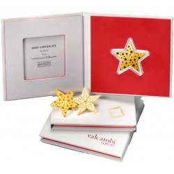 5 gr COMBIBAR GOLD - 5 x 1gr STAR