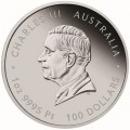 PM PLATINUM 1 oz PHOENIX 2023 $100 Australia PROOF - BOX +COA