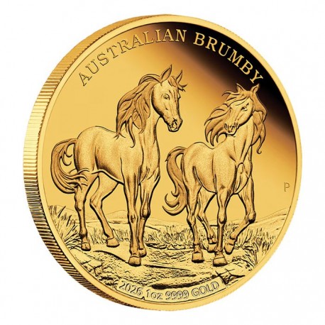 +++ Perth Mint Australian Brumby 2025 1oz Gold Proof Coin $100 +++