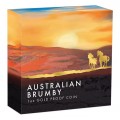 +++ Perth Mint Australian Brumby 2025 1oz Gold Proof Coin $100 +++