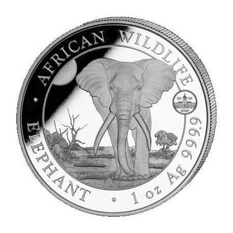 1 oz silver SOMALIA ELEPHANT 2025 HIGH RELIEF Shillings 100
