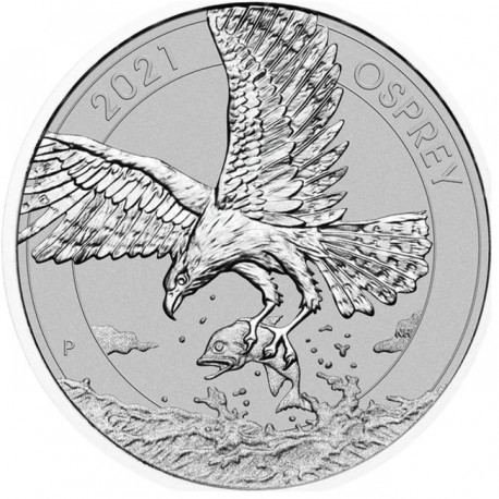 PM 1/2 oz PLATINUM WHITE-BELLIED SEA EAGLE 2022 $50 bu