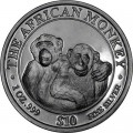 CAPSULE 1 KILO SILVER