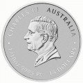 PM 1/10 oz platinum Lunar HORSE 2026 bu $10
