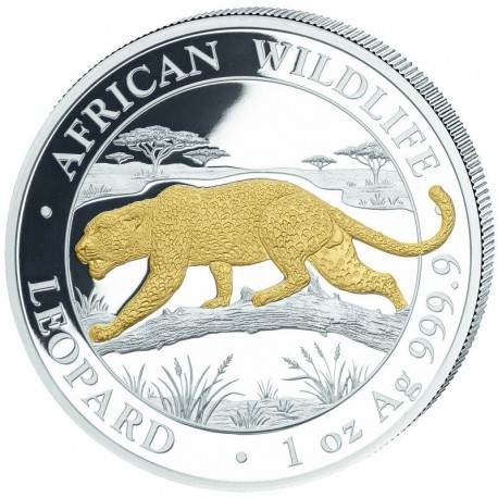 1 oz silver SOMALIA LEOPARD 2026 - 100 shillings
